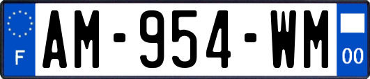 AM-954-WM