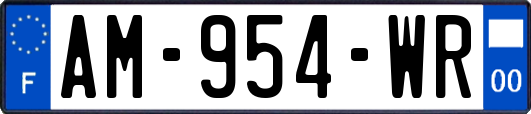 AM-954-WR