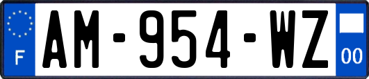 AM-954-WZ