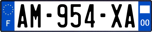 AM-954-XA