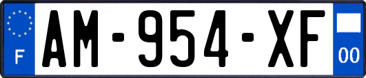 AM-954-XF