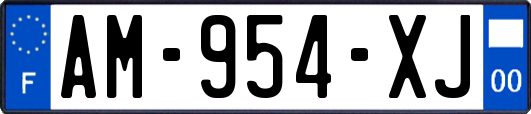 AM-954-XJ