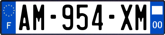 AM-954-XM