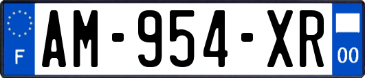 AM-954-XR