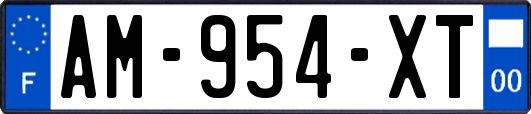 AM-954-XT