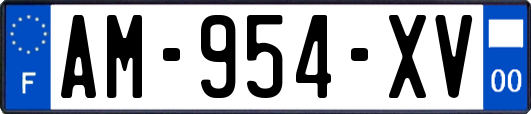 AM-954-XV