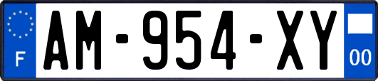 AM-954-XY