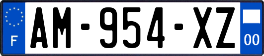 AM-954-XZ