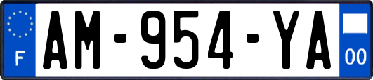AM-954-YA