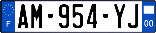 AM-954-YJ
