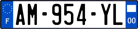AM-954-YL