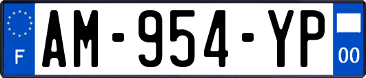 AM-954-YP