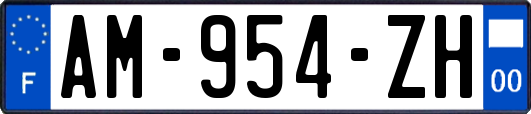 AM-954-ZH