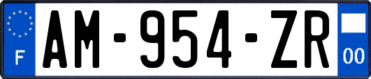 AM-954-ZR
