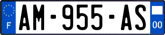 AM-955-AS