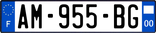 AM-955-BG