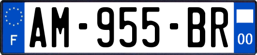 AM-955-BR