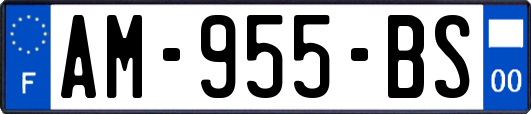 AM-955-BS