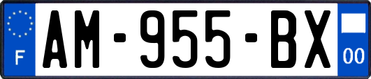 AM-955-BX