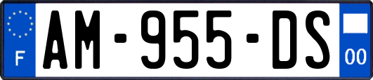 AM-955-DS