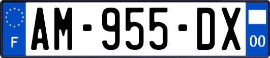 AM-955-DX