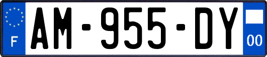 AM-955-DY
