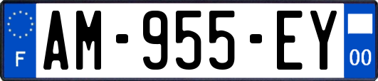 AM-955-EY
