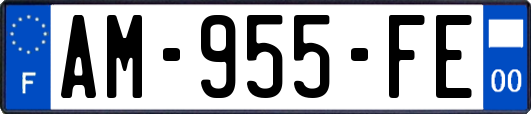 AM-955-FE