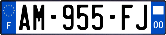 AM-955-FJ