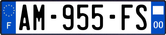 AM-955-FS