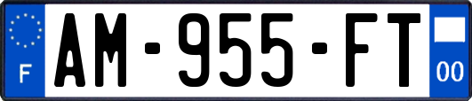 AM-955-FT