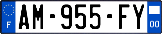 AM-955-FY