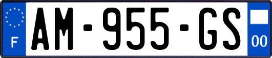 AM-955-GS