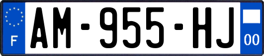 AM-955-HJ