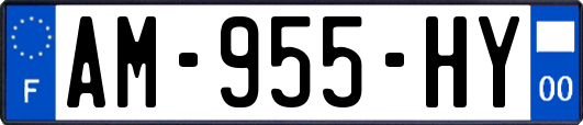 AM-955-HY