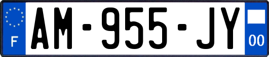 AM-955-JY