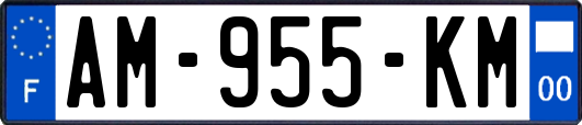 AM-955-KM