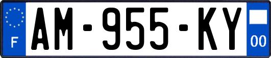 AM-955-KY