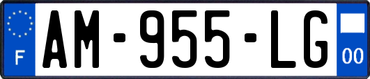 AM-955-LG
