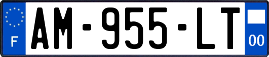 AM-955-LT