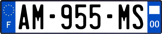 AM-955-MS