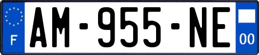 AM-955-NE