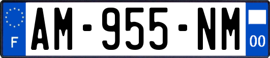 AM-955-NM