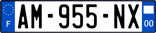 AM-955-NX