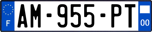 AM-955-PT