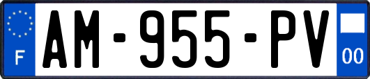 AM-955-PV