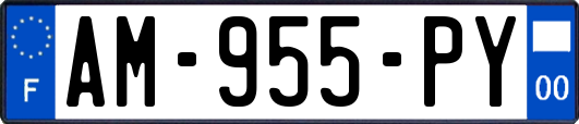 AM-955-PY