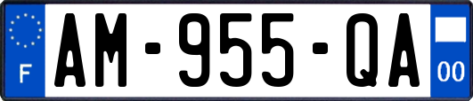 AM-955-QA
