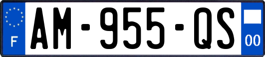 AM-955-QS