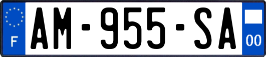 AM-955-SA